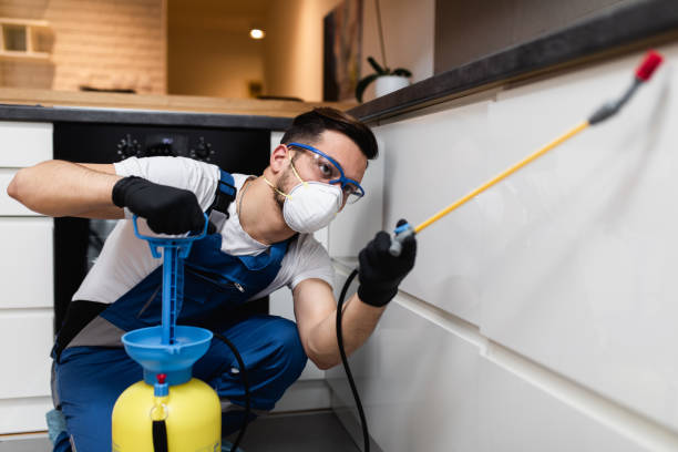 Best Pest Control Near Me  in Wellington, UT