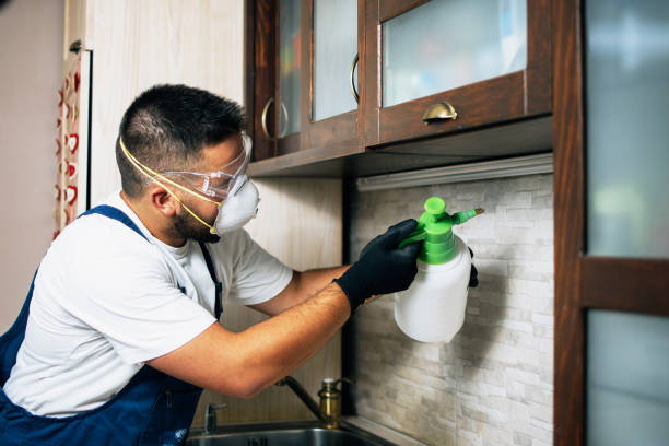 Best Exterminator Services  in Wellington, UT