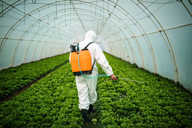 Best Local Pest Control Services  in Wellington, UT