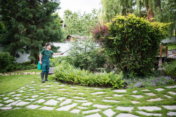 Best Pest Removal Services  in Wellington, UT