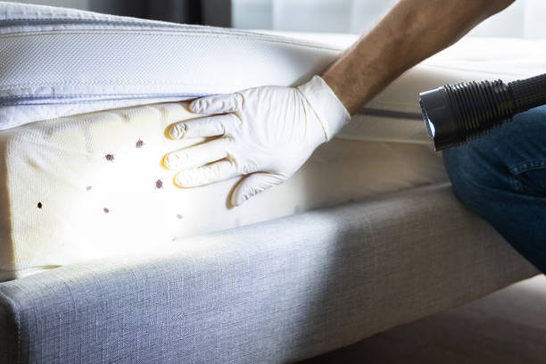 Best Pest Control Near Me  in Wellington, UT