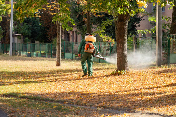 Best Termite Control Services  in Wellington, UT