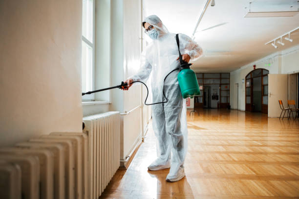 Wasp Removal Services in Wellington, UT