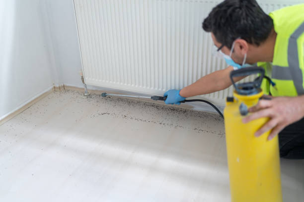Best Pest Control Cost  in Wellington, UT